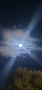 Kingkushflow Public Εικόνα