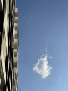 My pictures od unapollogetic  5 snímek