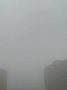 liana_kisses A typical day in my life 🤪 Pic 2