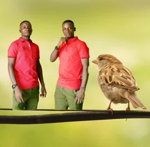 Master_stallionbbc12 Public Poză