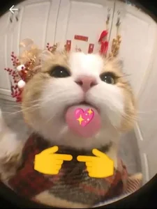 Mimi_cute20😽😽😽图片 3