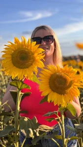KriisKiss Chris in a field of sunflowers Billede 6