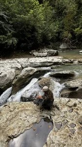 altertyan lige is good Poză 2