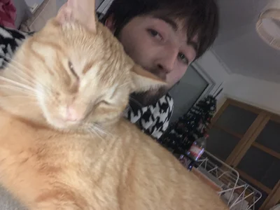 GuillaumebeauZizi's Moi quand je suis normal Sex Photo 1