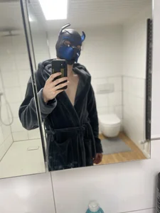 Public de DoggoPat  4 Imagens