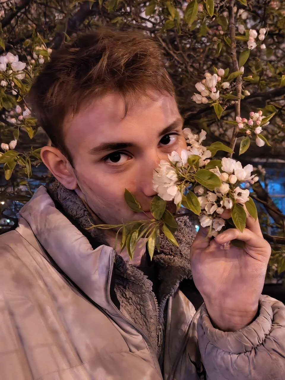 صور felixcurt69 الرائجة  2591