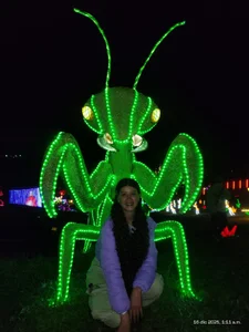 Sofi_cutiee I went to see lights and I want to share it with you 🌸🌲 Pic