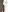 HeyAlena's photo