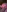 ArrangedFoot's photo