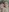💦Cumshot ins Gesicht 💦💥 Lilly und Anny 💥