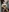 yuuka82619y's photo