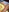 RoxyRedXO12's photo