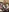 Maid photo set
