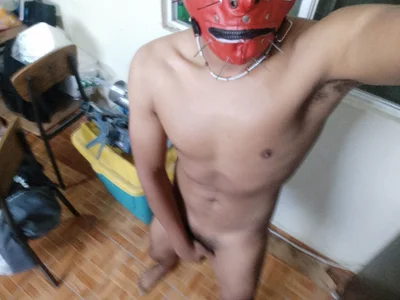 mexversatill Public Pic 4