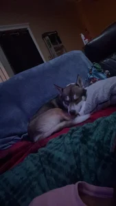 Public de BuckinBilly Foto 6