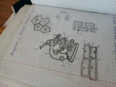 CaseySparkle: My drawings ( 2 фото)