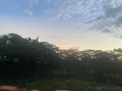 lou_cuteのNature🍃の 5枚の写真