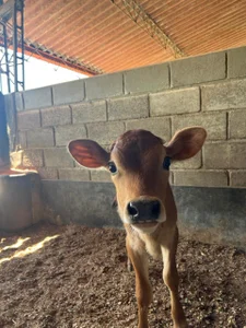 Zdjęcia Alice_Dickinssonn Fotos random:  3