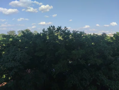 Gordinho_quietinho: Paisagens ( фото)