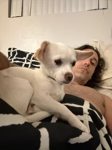 PEGATIVET My life Immagine  6