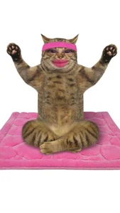 misshoneyxxx Funny photos ♥ Εικόνα 5