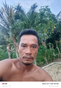 maxwel20 Public 圖片
