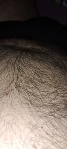 Escondido52 8 Foto 2