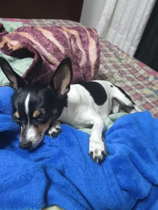 LuisaFernanda170823 Con Tinny Foto 8