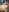 only fans club