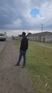 GalvharinoMapucheSometimeout图片
