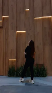 LowOncomingPublic图片