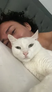 sofi_elfqueen My kitties 😻😻😻😻 รูป  3