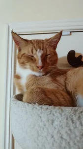 l4dyc4pricorn76 Public Pic 2