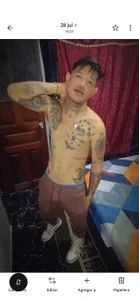 Public de Halconvip  Imagens