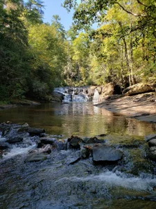 Public de GardenGirl00 Foto 3