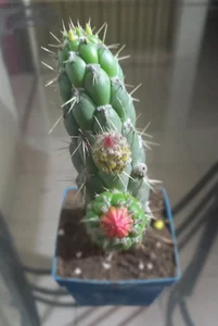 ferdinad20 Smile!!! 사진 6