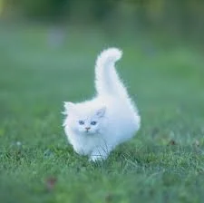 Public de test_model123 Foto