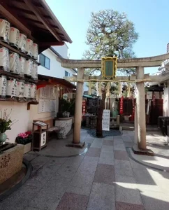 ERIKA-JP-168130 市比賣神社⛩️Kyoto Pic