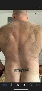 greyoakbear Public . fénykép
