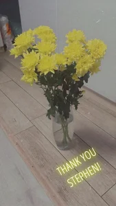 MollyBer kullanıcısın ın Flowers from you (777 tkn to send me flowers and make me happy) albümü -  5 fotoğraf