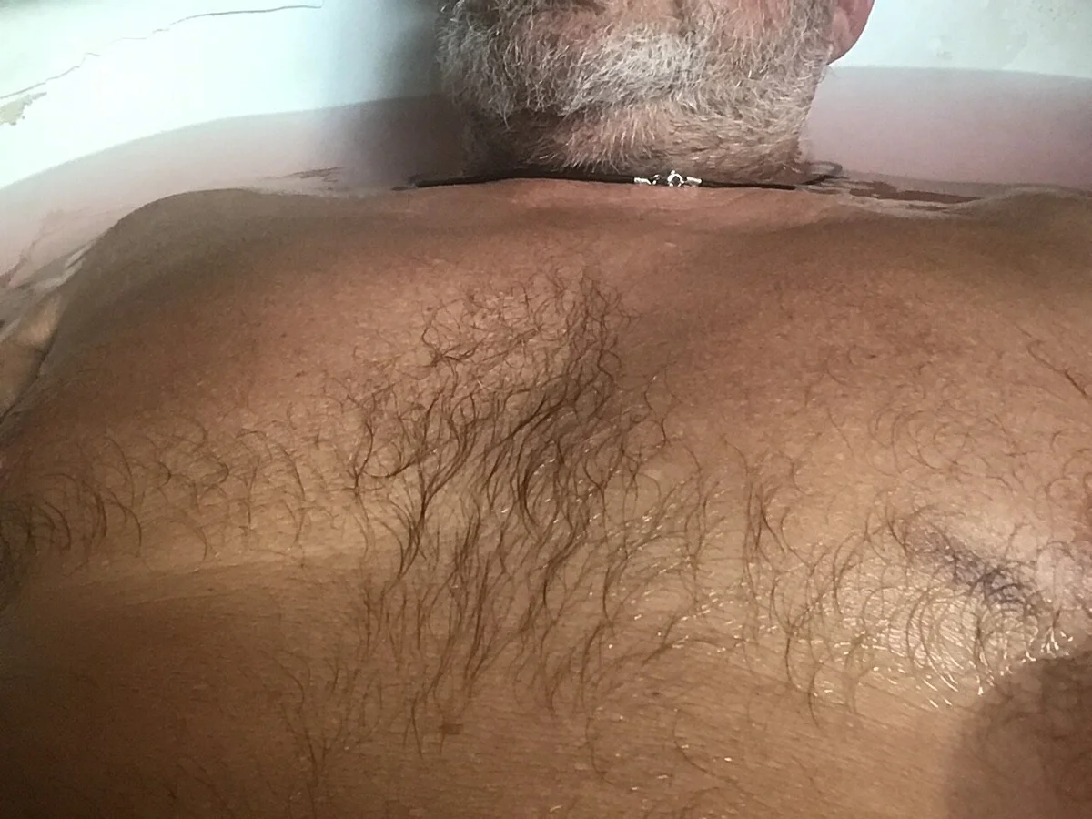 harburger40さんのトレンドな 5399枚の写真