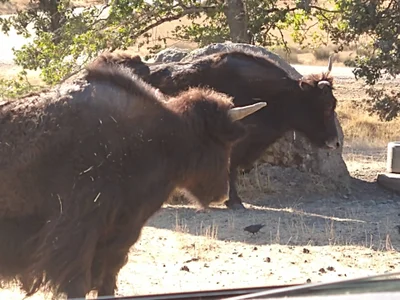 Zdjęcia Evalain_shadow My Travels ✌️:  6