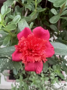 ronald_thompson20 Un poco más de mi. A little more of me Pic 2