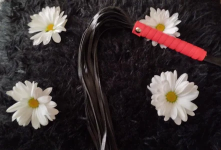 Yourgoddessbab3のmys toysの 6枚の写真