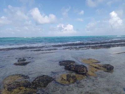 Angela_18honey Breeze and Sea Beach Hình 6