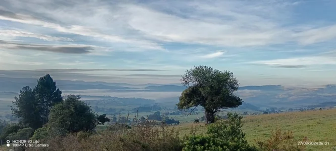 FabianPriince kullanıcısının 🌲 Natural Time 🌲 albümü -  5 fotoğraf