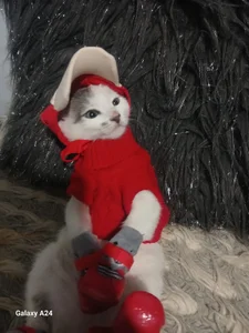 luna_sofia69 My Cat 🐱 Pic