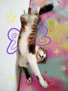 Lexyy_Bluee Public صورة واحدة|Lexyy_Bluee Public صورتان|Lexyy_Bluee Public  3 صور|Lexyy_Bluee Public  3 صورة