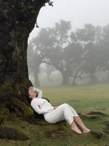 RoseViki Madeira⛰️☀️ Εικόνα 5
