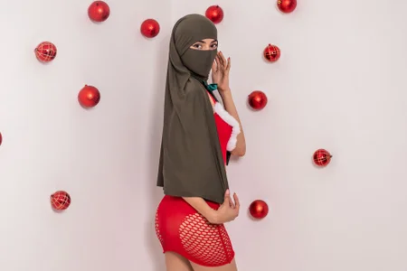 _Zahiira_: my first christmas photos ( 4 фото)